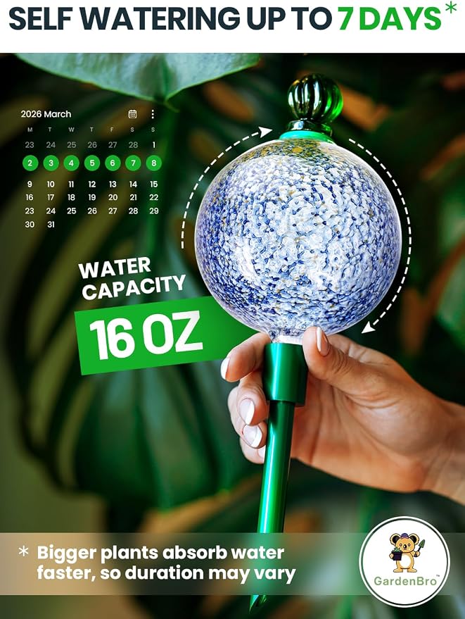 16 Oz Plant Watering Globes for Indoor Plants - Image 2