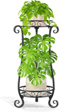LASZOLA 2 Tier Black Metal Plant Stand by LASZOLA