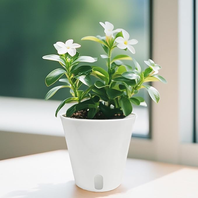TCBWFY 5 Inch Self Watering Pots - Image 6