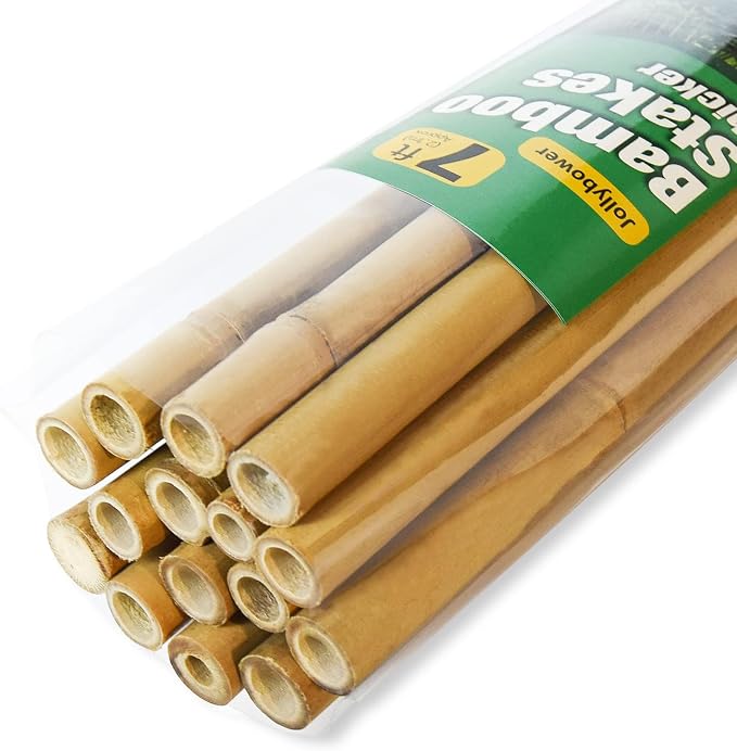 15pcs 3/4" D Thicker Heavy Duty Bamboo Stakes, 7FT Plant Stakes, Natural Garden by Jollybower
