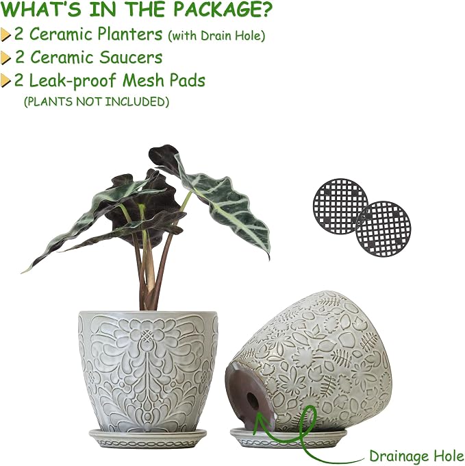 6 Inch Ceramic Planter Pots - Image 2