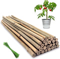 Plant Stakes, 12 Inches Natural Garden Bamboo Sticks, BOVITRO 20Pcs Plant by BOVITRO
