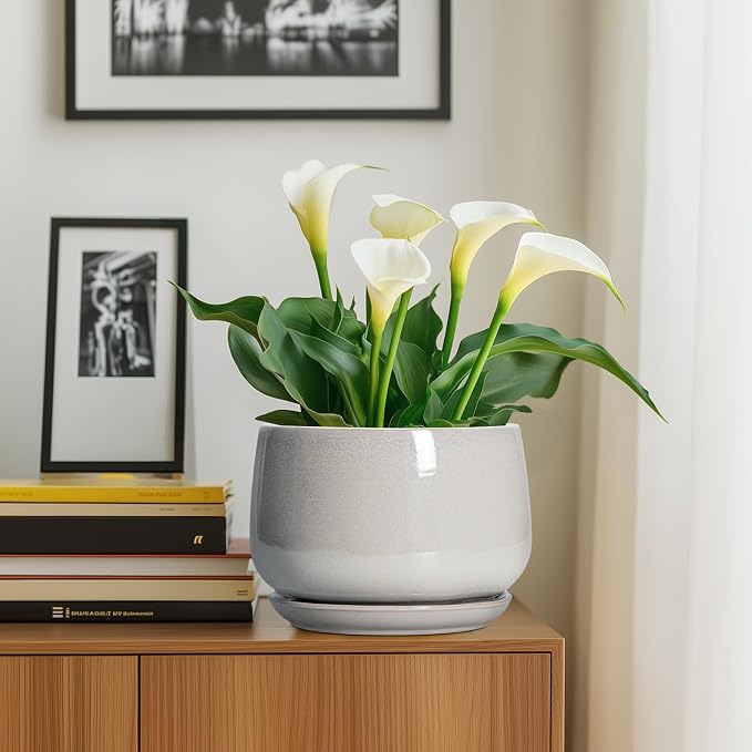 G EPGardening Ceramic Plant Pots - Image 8