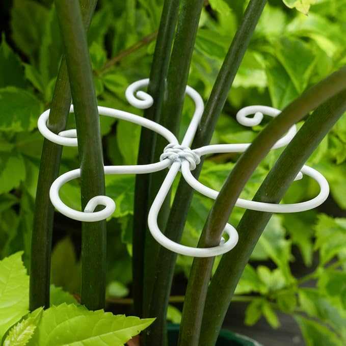 5PCS Monstera Plant Support Hook White 4.1 * 4.1 Inch – Set of 5 Durable Metal by Yohsnor