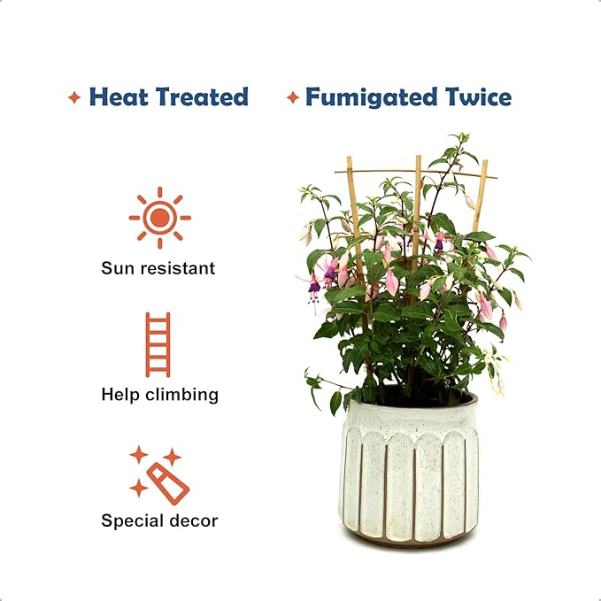 3Pack Bamboo Trellis 16 Inch Fan Shaped Small Plant Trellis - Image 4