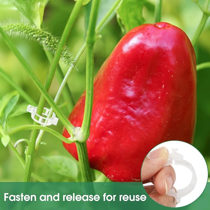 300 Pcs Plant Clips for Climbing Plants, Tomato Clips for Support, Plastic - Image 7