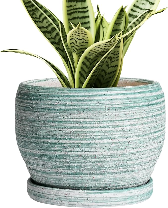 SQOWL Ceramic Plant Pots by SQOWL