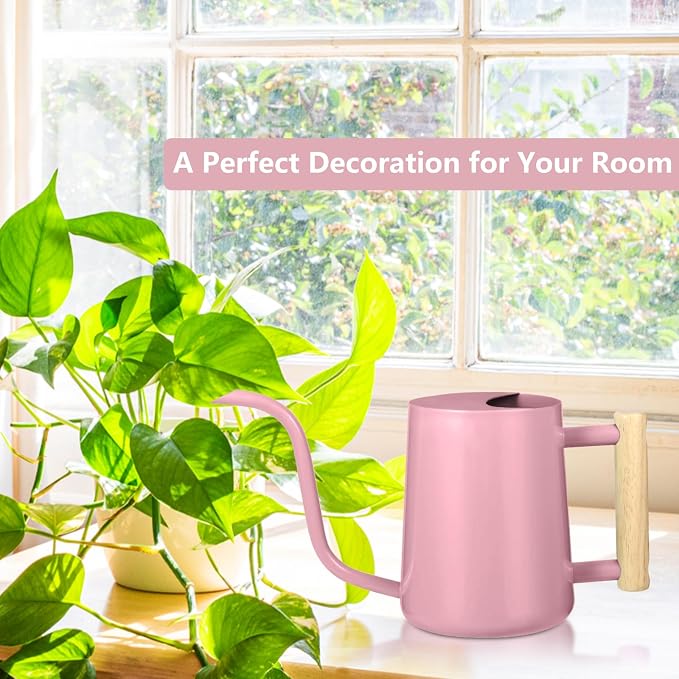 Watering Can Indoor Plants, 35oz Small Indoor Stainless Steel Metal Watering - Image 3