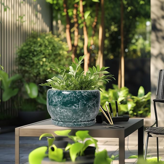 SQOWL 10 Inch Plant Pot - Image 5