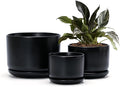 Ton Sin Plant Pots, 4.1+5.1+6.5 inch, Ceramic Planters by TonSin