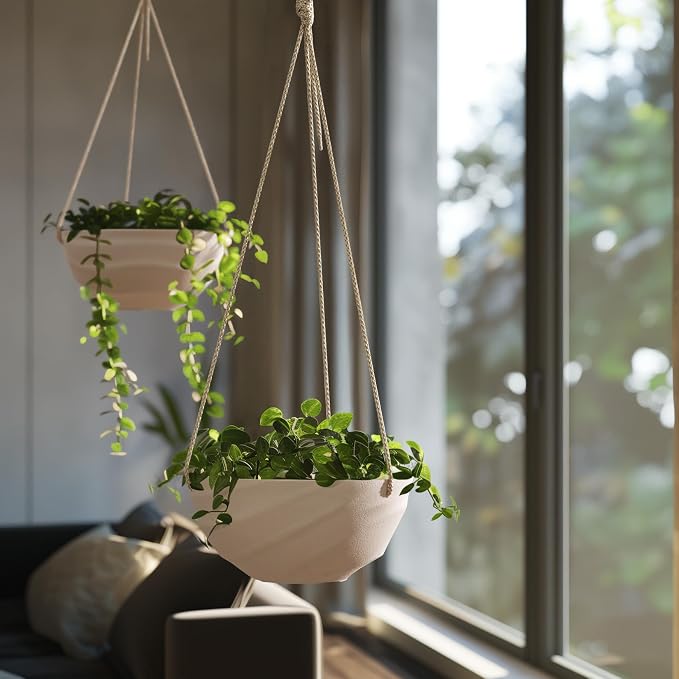 La Jolie Maison 10 Inch Hanging Planters - Image 5