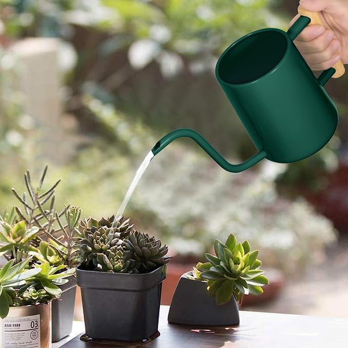 Watering Can Indoor Plants, 35 oz/1000 ml Metal Stainless Steel Watering Can Pot - Image 2