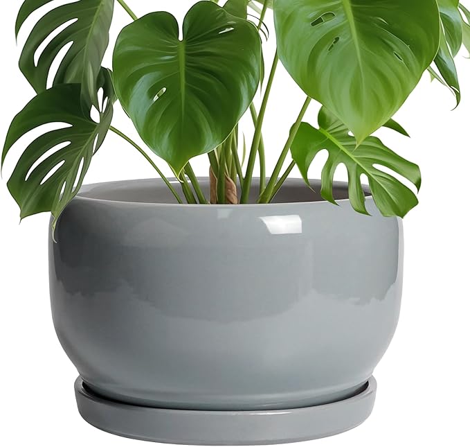 SQOWL 10 Inch Plant Pot by SQOWL