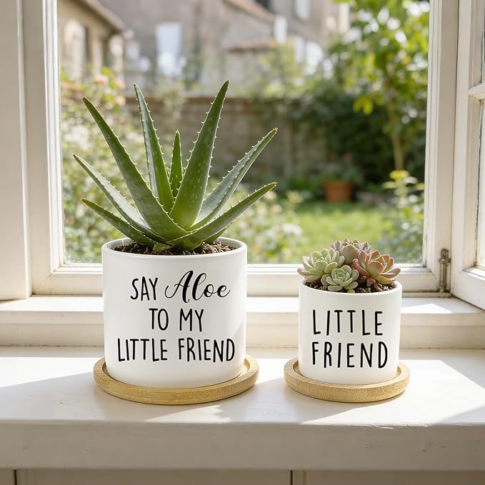 Say Aloe to My Little Friend Planter Pot, Funny Plant Pots, Aloe Plant Pot - Image 6