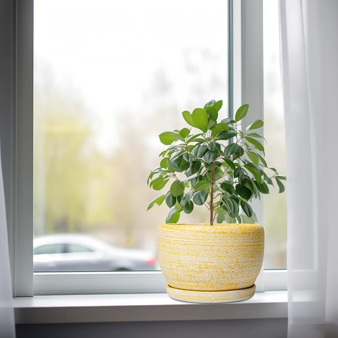 SQOWL Ceramic Flower Pots - Image 4