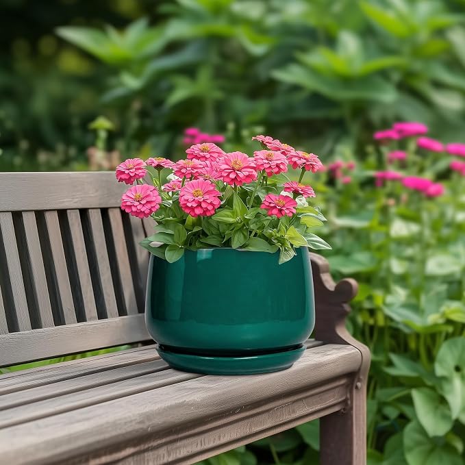 G EPGardening Ceramic Planter for Indoor Plants - Image 4