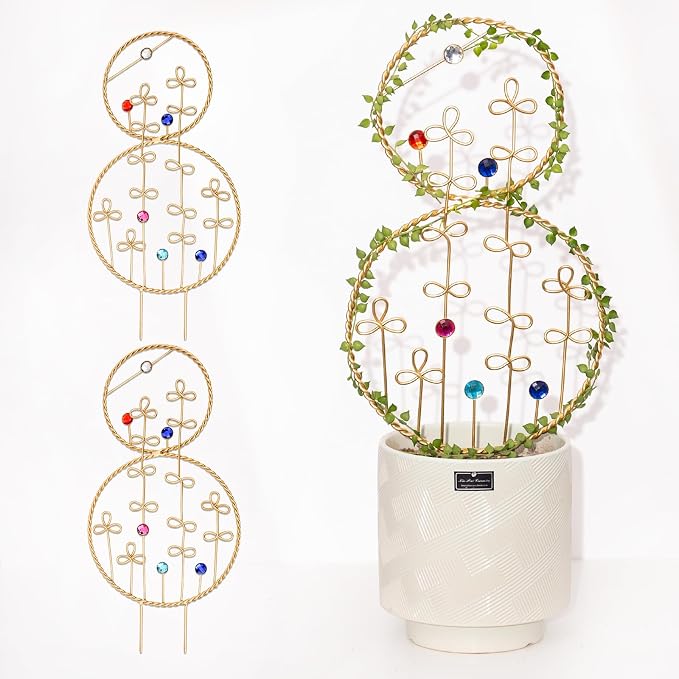 2PCS Hoya Trellis Plant Support Indoor Metal Frame Unique Trellis by Goooxim