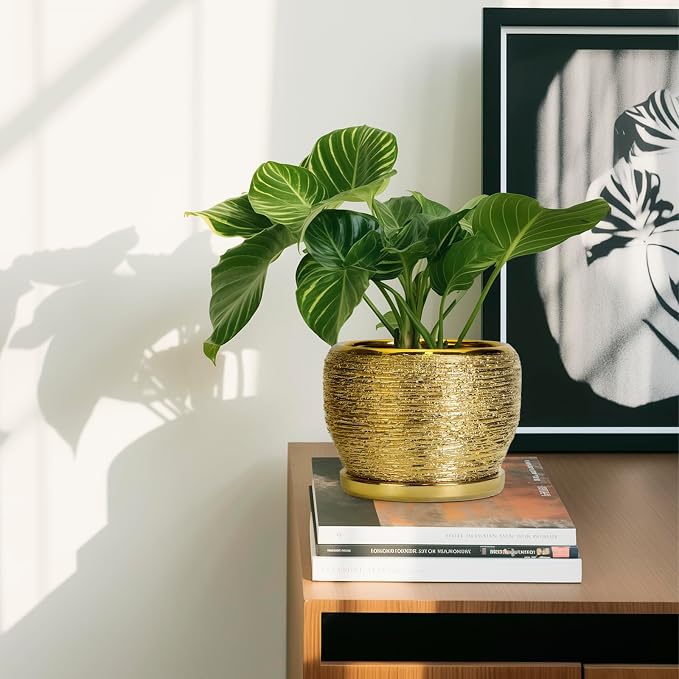 SQOWL Ceramic Planter - Image 6