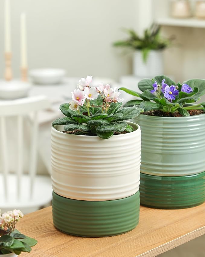 Self Watering Pots for Indoor Plants, 6 Inch Ceramic Self Watering Plant Pot - Image 5