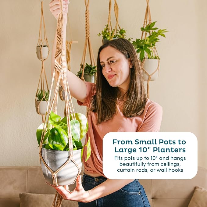 Nook Theory 6-Pack Macrame Plant Hangers - Image 5