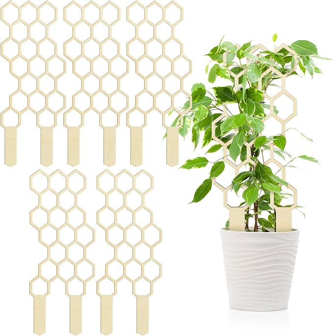 Nuenen 5 Pack Indoor Plant Trellis by Nuenen