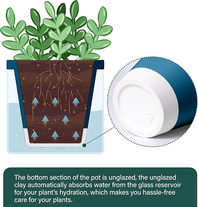 D'vine Dev 4 Inch Design Self Watering Planter - Image 5