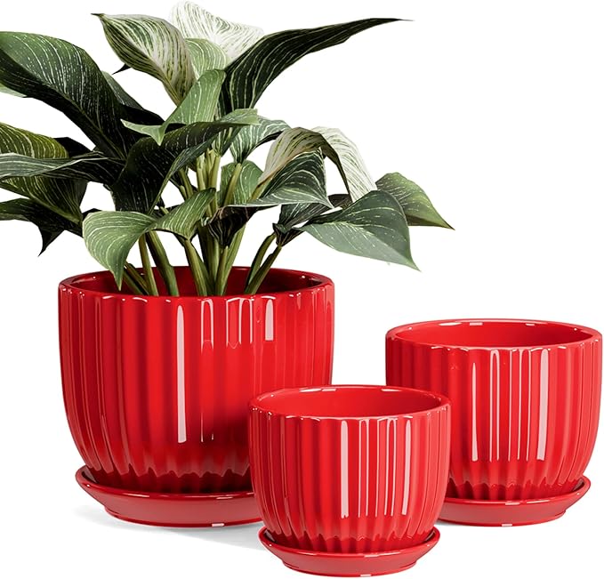 Ton Sin Ceramic Plant Pots by TonSin