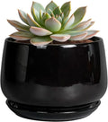G EPGardening 6 Inch Planter by GEPGardening