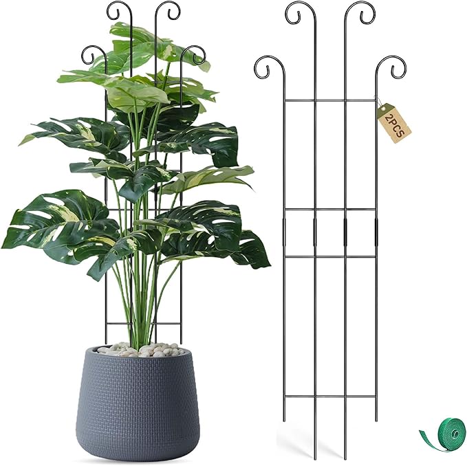 Coomin 32.6in Monstera Plant Support Stakes by COOMIN