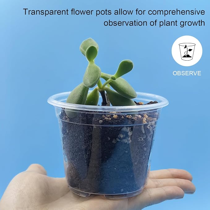 Clear Seedling pots 100-Pack 3.2 Inches Round - Image 3