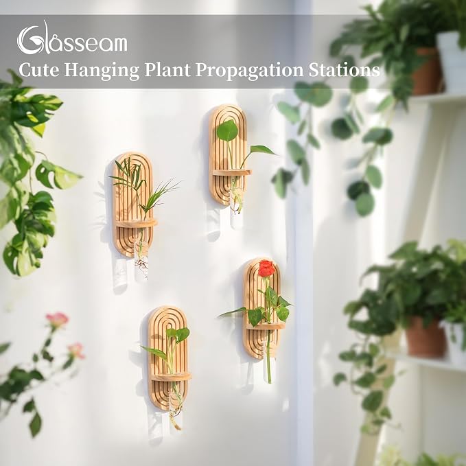 Glasseam Hanging Plant Propagation Stations: Boho Glass Wall Propagation vases - Image 2