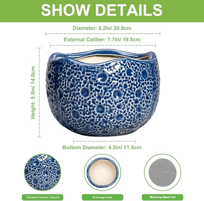 Ceramic Pots for Plants - Image 2