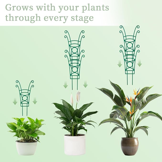4 Pack Stackable Plant Trellis for Climbing Plants, Indoor/Outdoor Garden - Image 3