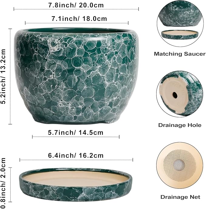 SQOWL 8 Inch Plant Pot - Image 3