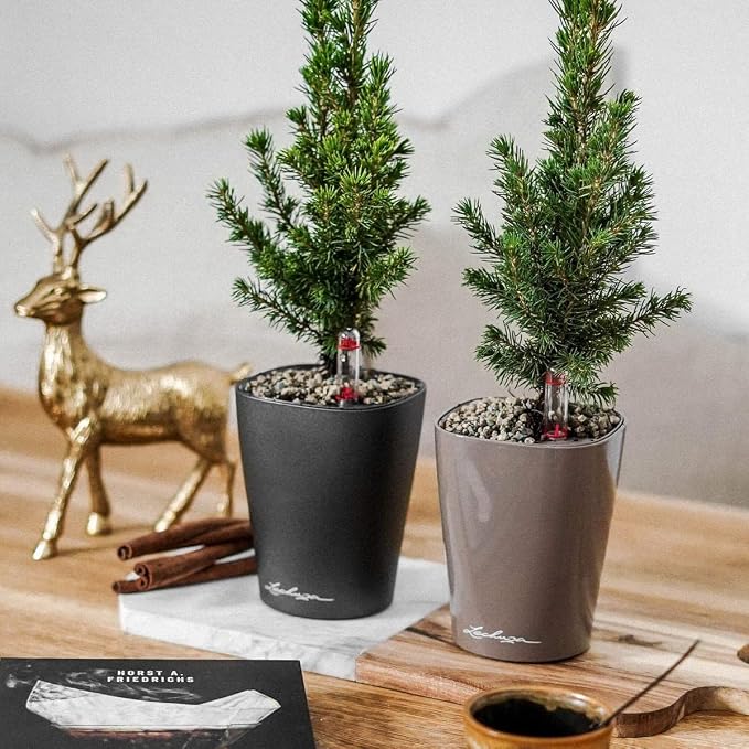 Lechuza MINI-DELTINI Charcoal Metallic, Self-Watering Small Indoor Planter - Image 10