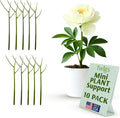 Mini Twigs Plant Support Stakes by TwigsGardenAccessories
