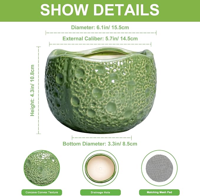6 Inch Plant Pot - Image 2