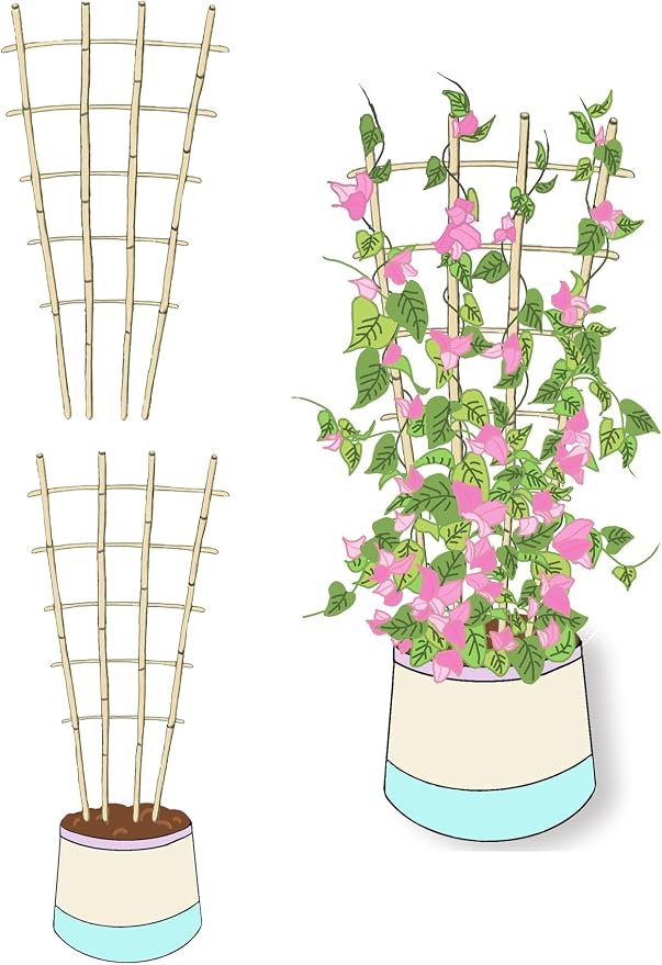 Natural Bamboo Trellis, Fan-Shaped Plant Support Trellis - Image 6