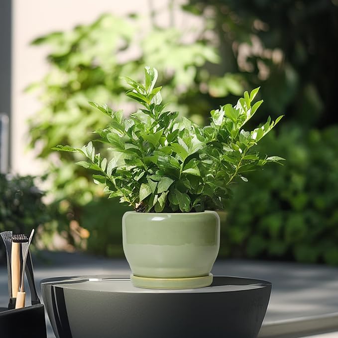 SQOWL Ceramic Pot for Plants - Image 4