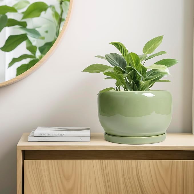 SQOWL Ceramic Planter - Image 7