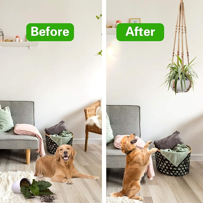 Augshy 2 Pcs Plant Hangers Hanging Plant Holder - Image 6