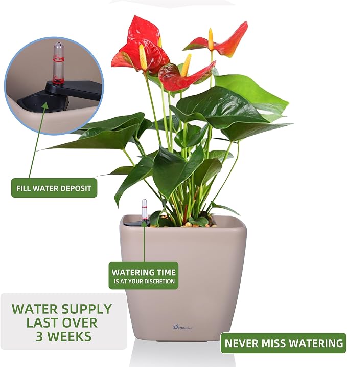 Dexceder 18x17 Self Watering Planter - Image 5
