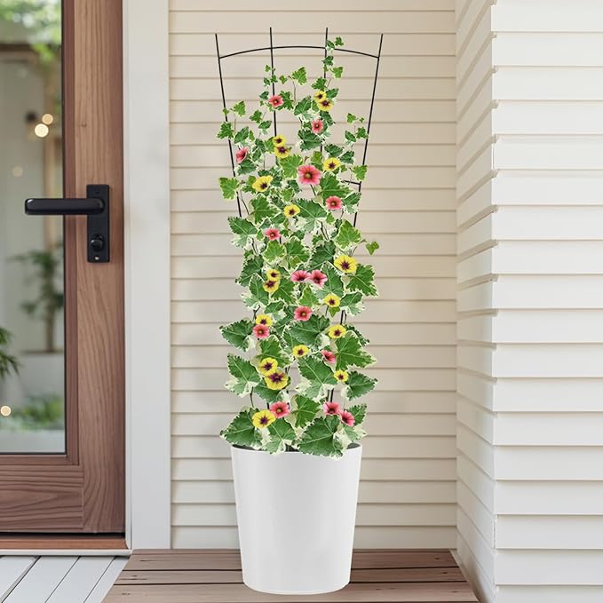 4 Pack 32'' Black Metal Plant Trellis Indoor/Outdoor, Fan Shape, Stainless Steel - Image 5