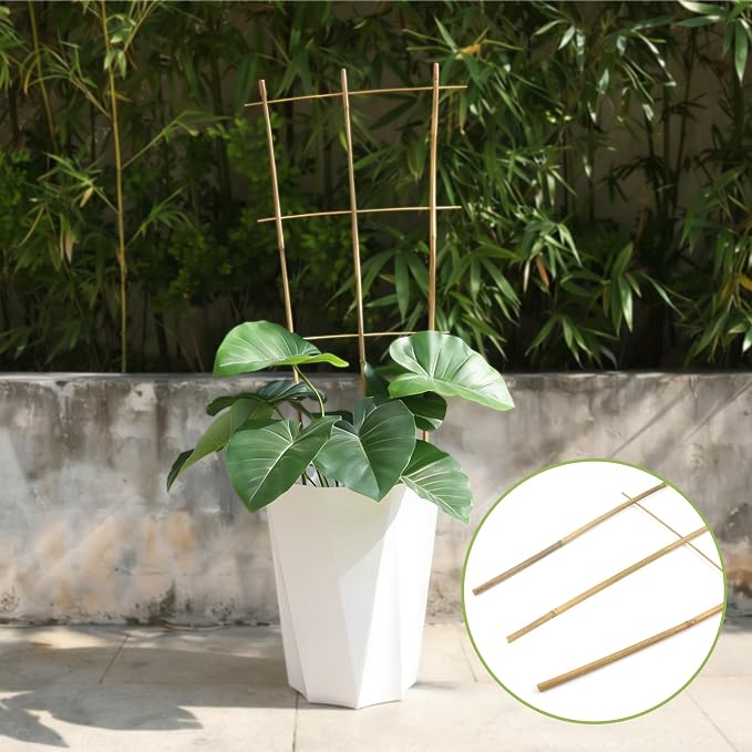 5 Pack 16" Bamboo Trellis for Climbing Plants-Natural Garden Ladder Fan -Shaped - Image 8