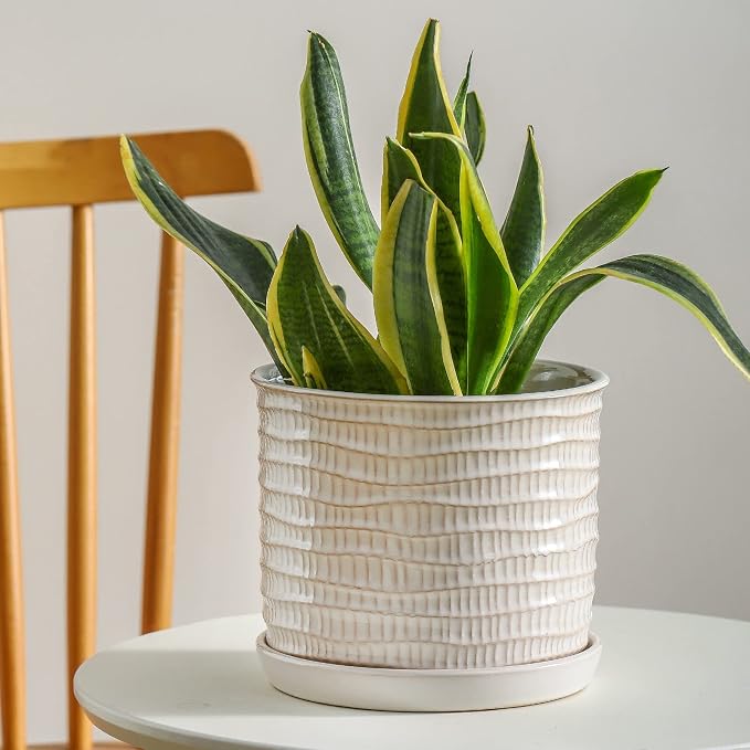 8 Inch Plant Pot: Ceramic Planter - Image 4