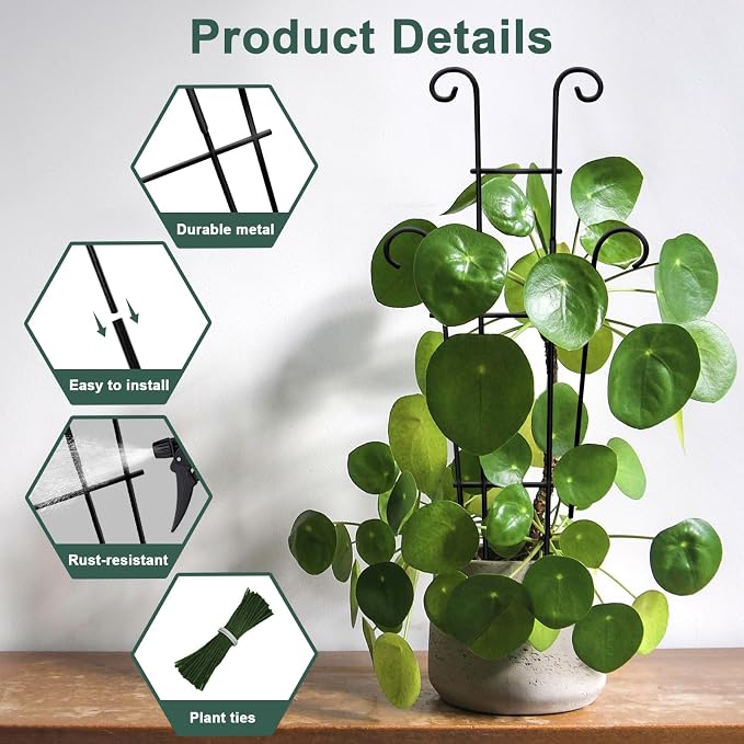Coomin 23in Taller Plant Trellis - Image 4