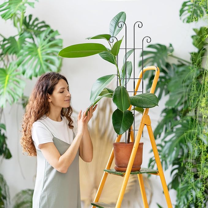 Coomin 32.6in Monstera Plant Support Stakes - Image 2