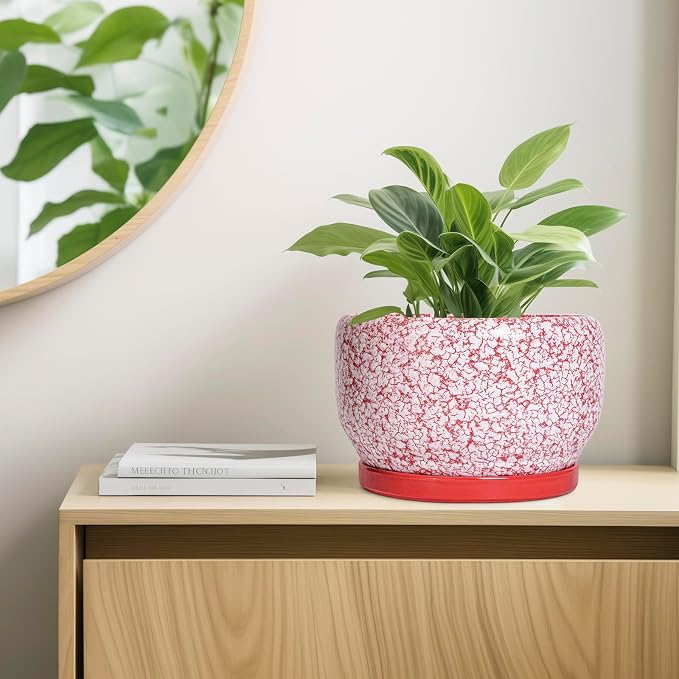 SQOWL Ceramic Planters for Indoor Plants - Image 7