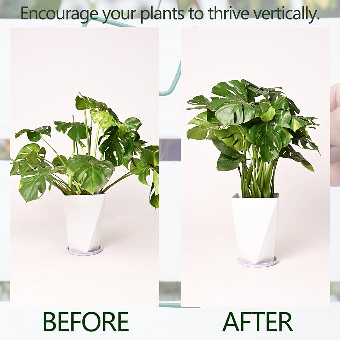 5PCS Green Monstera Plant Stem Support - Image 3