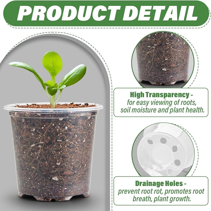 3.5" Clear Seeding Pots 100-Pack Round - Image 3